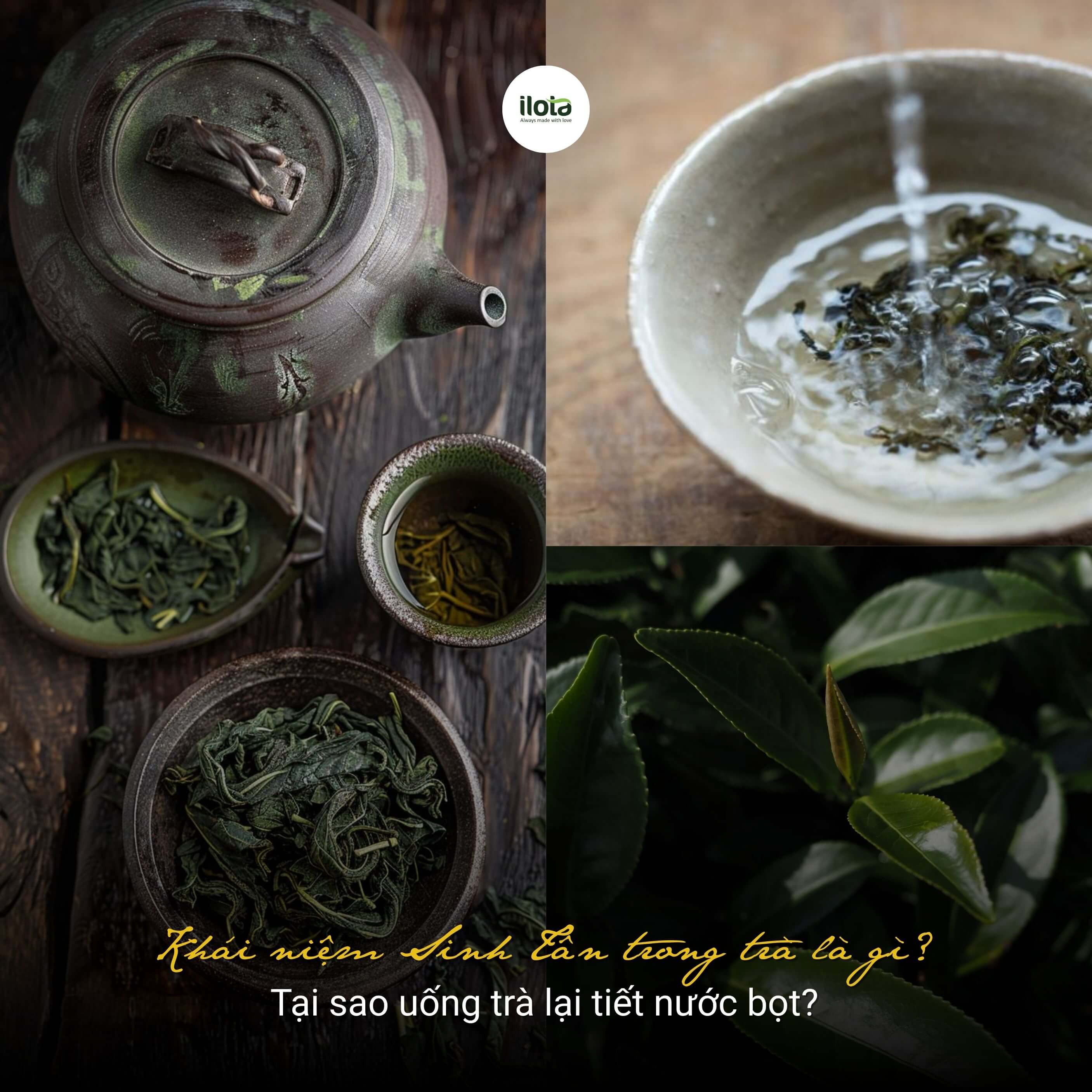 khai-niem-sinh-tan-trong-tra-la-gi