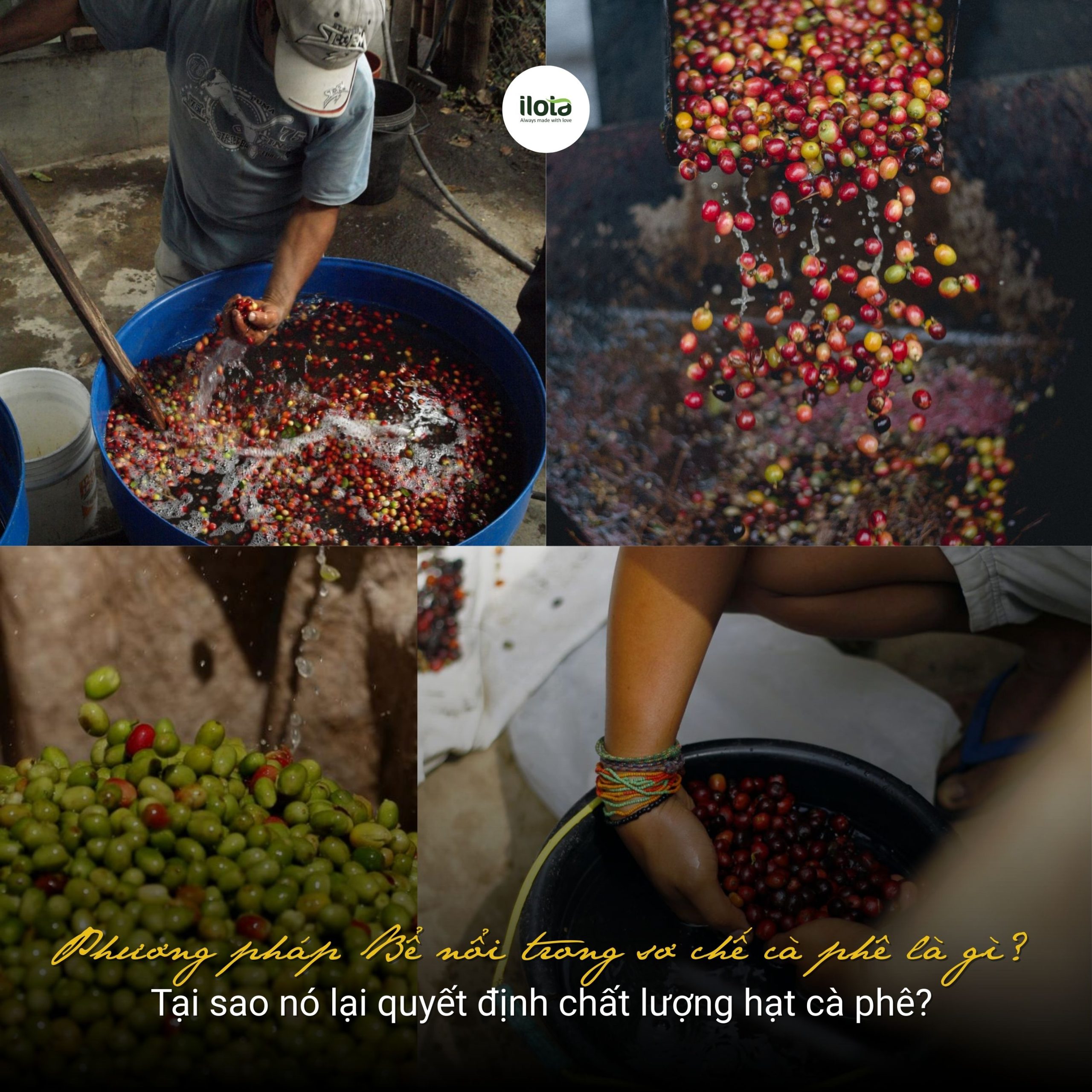 phuong-phap-be-noi-trong-so-che-ca-phe-la-gi