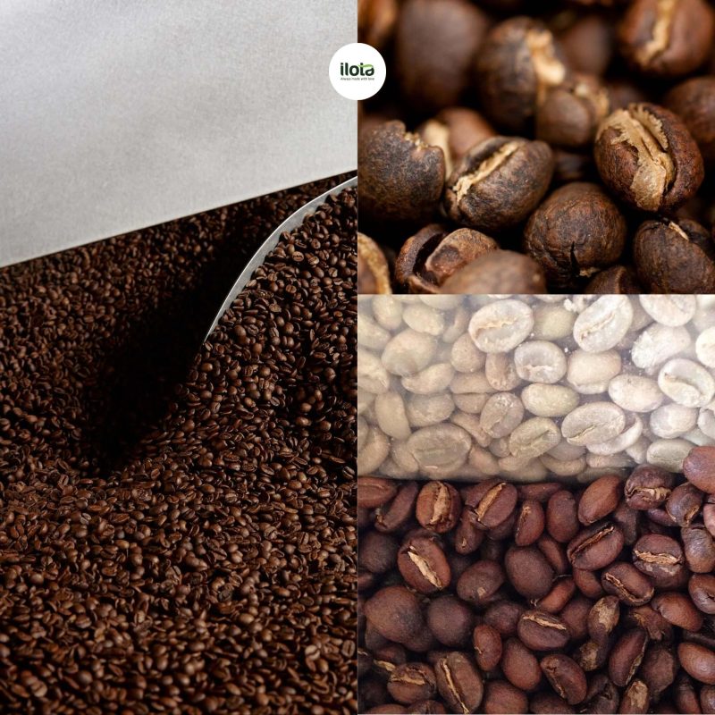 ca-phe-peaberry-la-gi