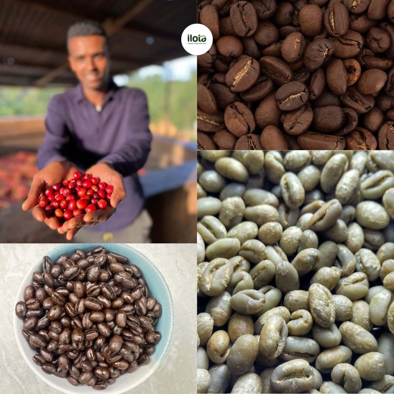 ca-phe-peaberry-la-gi