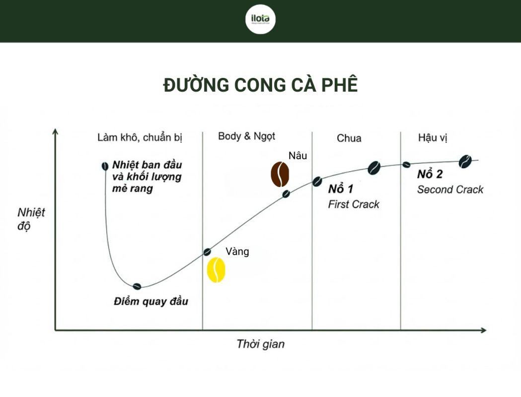 lam-chu-giai-doan-say-kho-trong-rang-ca-phe