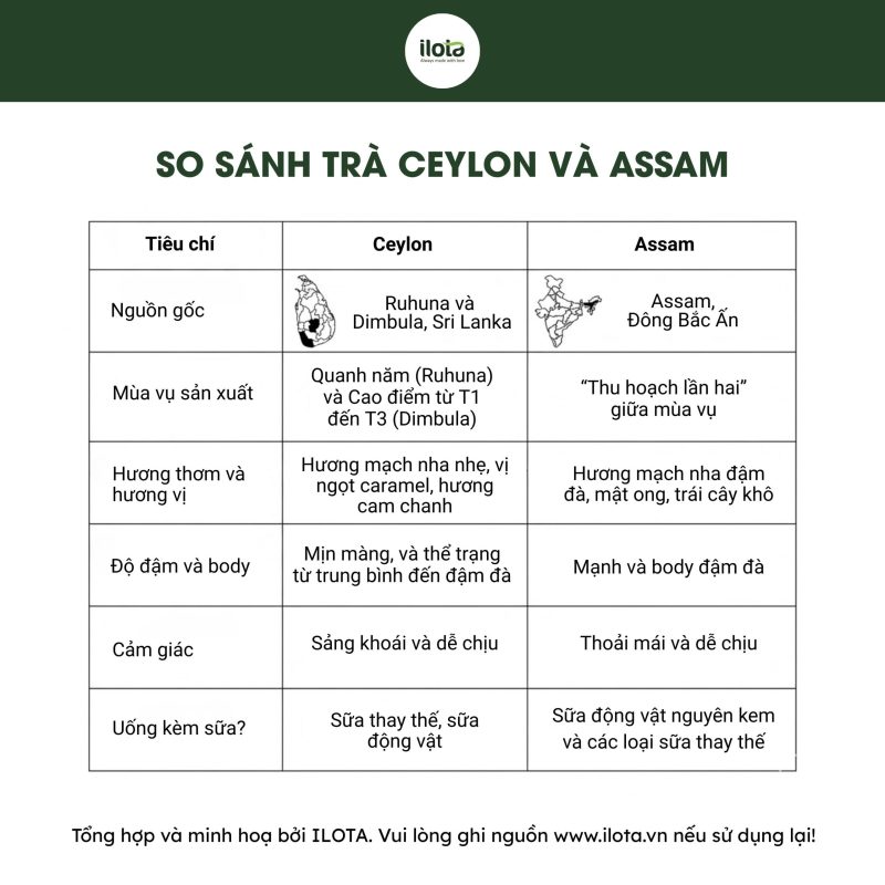 phan-biet-tra-den-ceylon-va-tra-assam