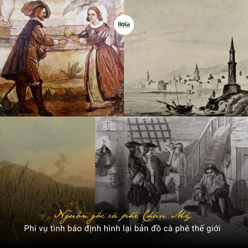nguon-goc-ca-phe-chau-my