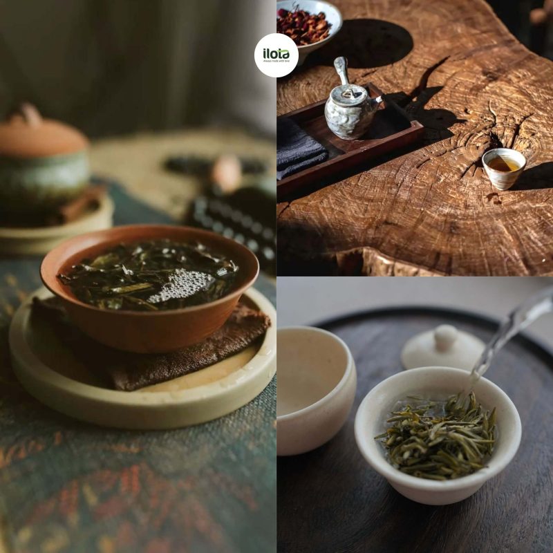 khai-niem-sinh-tan-trong-tra-la-gi