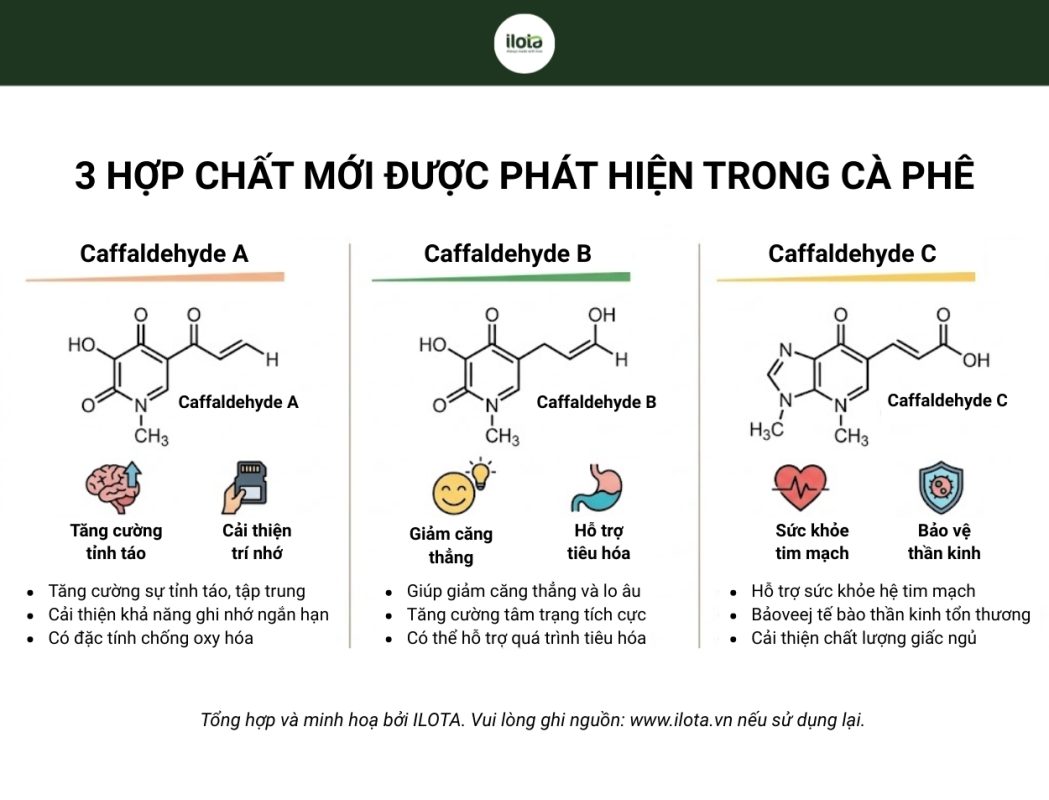 3-hop-chat-moi-trong-ca-phe