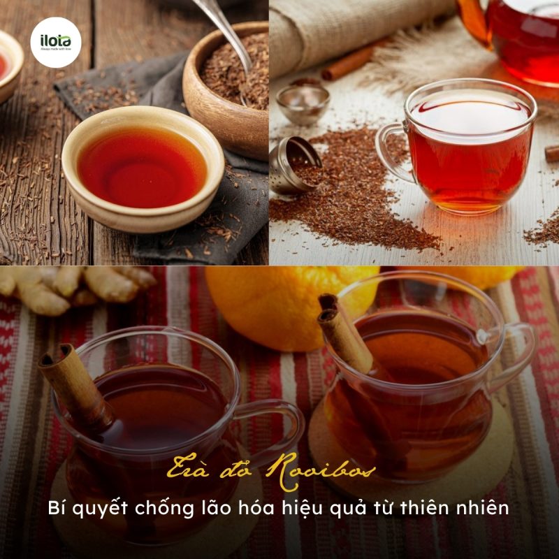 tra-do-rooibos-bi-quyet-chong-lao-hoa-tu-thien-nhien