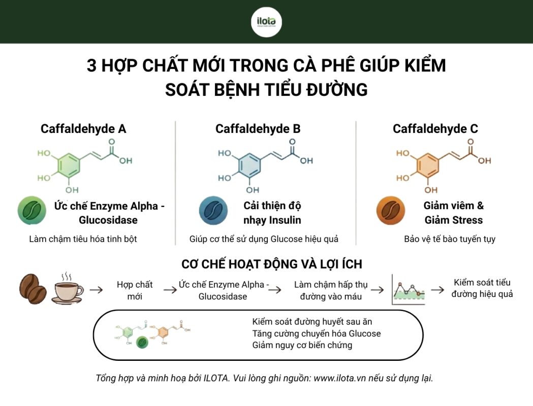 3-hop-chat-moi-trong-ca-phe