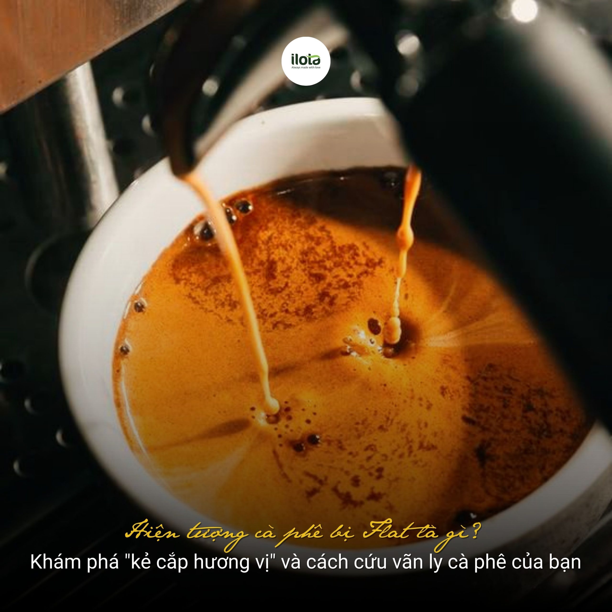 hien-tuong-ca-phe-bi-flat-la-gi