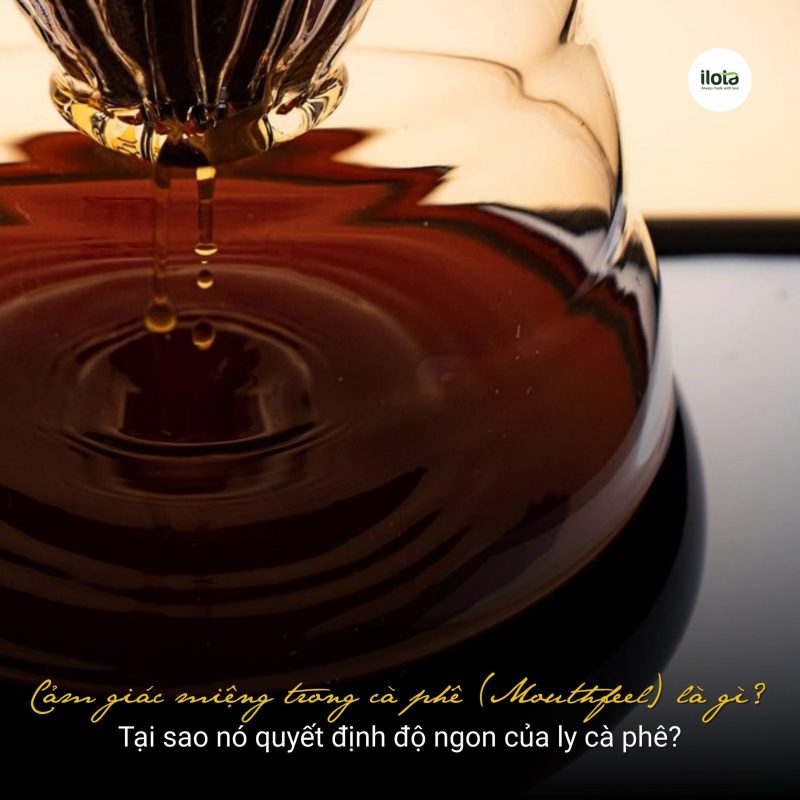 cam-giac-mieng-trong-ca-phe-mouthfeel-la-gi