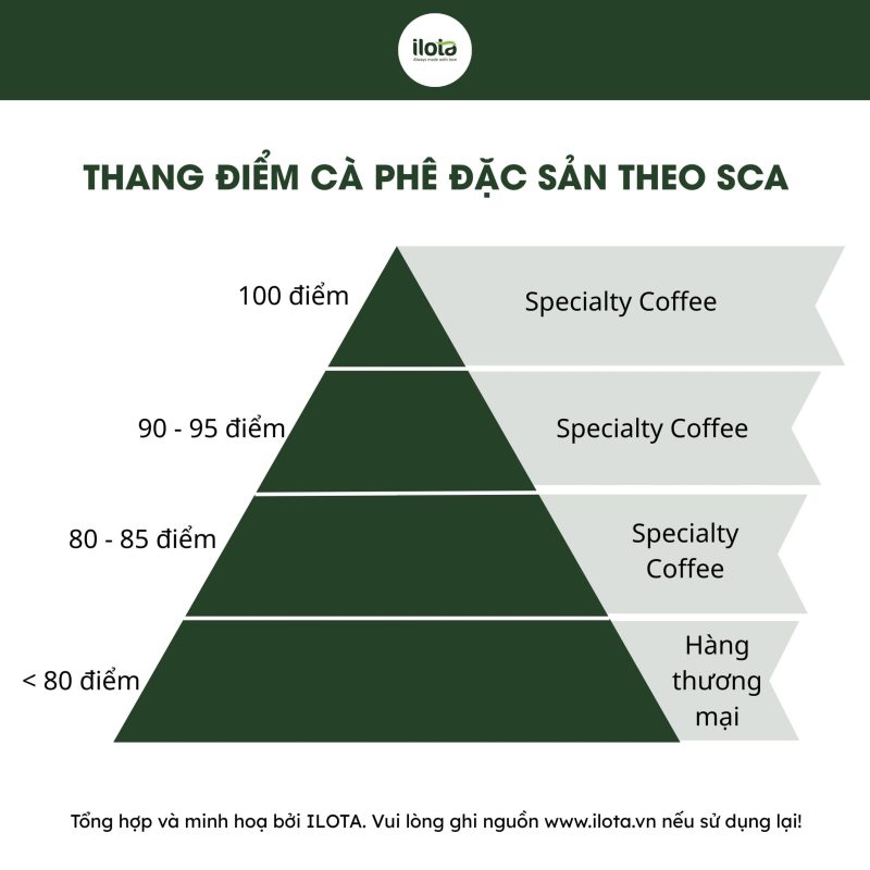 phan-biet-taints-va-faults-trong-quy-dinh-sca