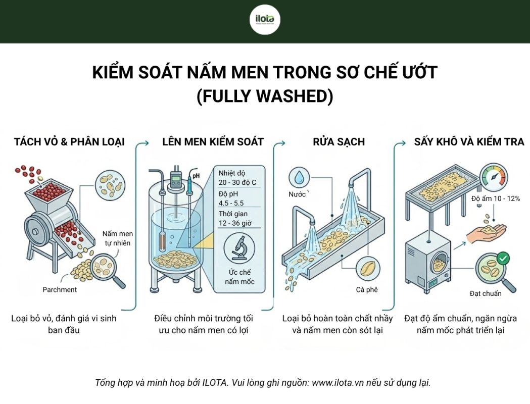 kiem-soat-nam-men-trong-so-che-uot