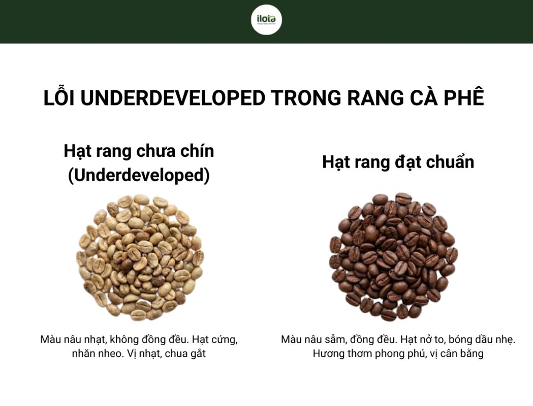 phan-giai-nhiet-trong-rang-ca-phe