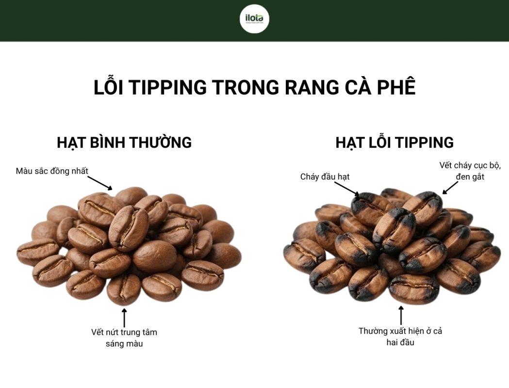 loi-tipping-trong-rang-ca-phe