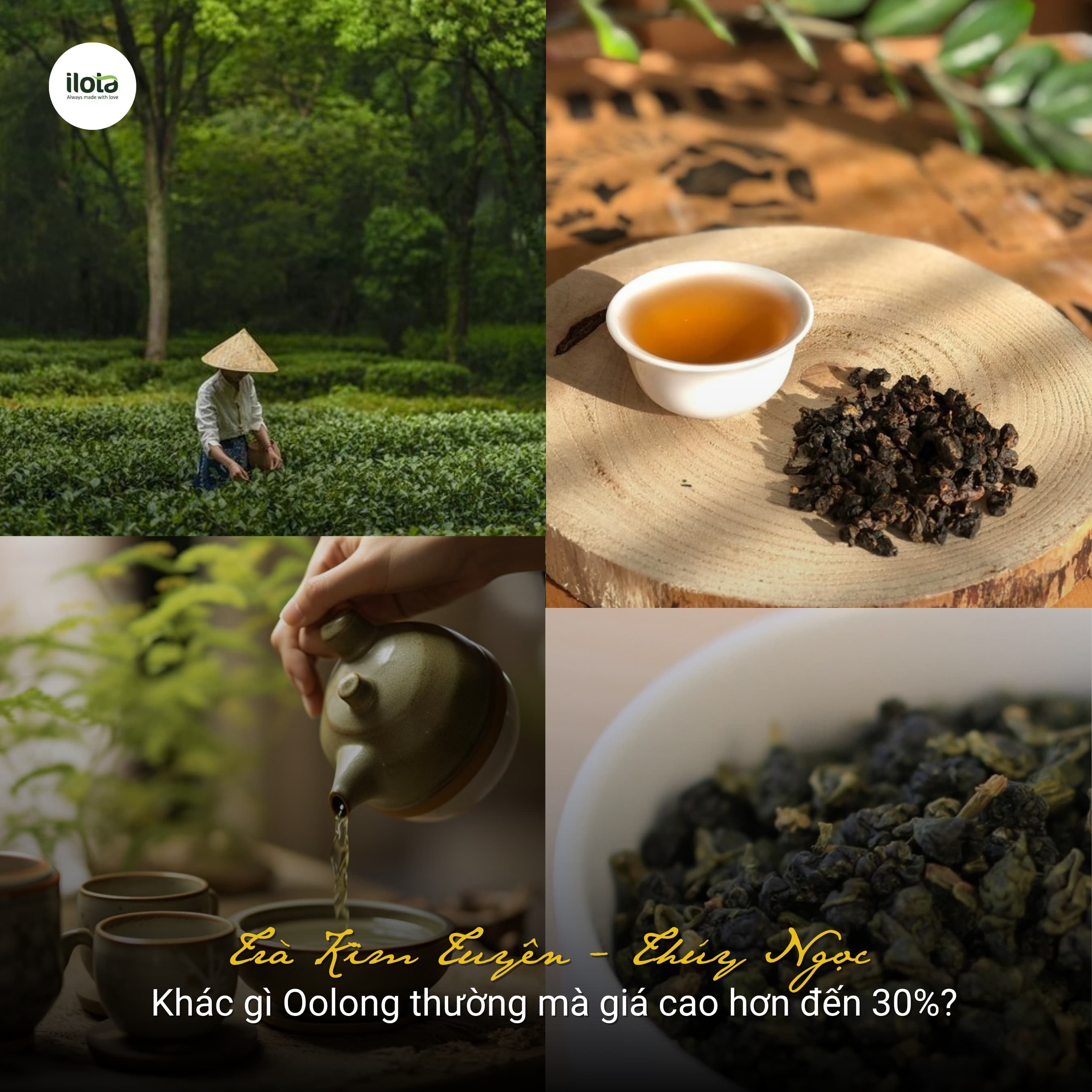 tra-kim-tuyen-thuy-ngoc-khac-gi-oolong-thuong