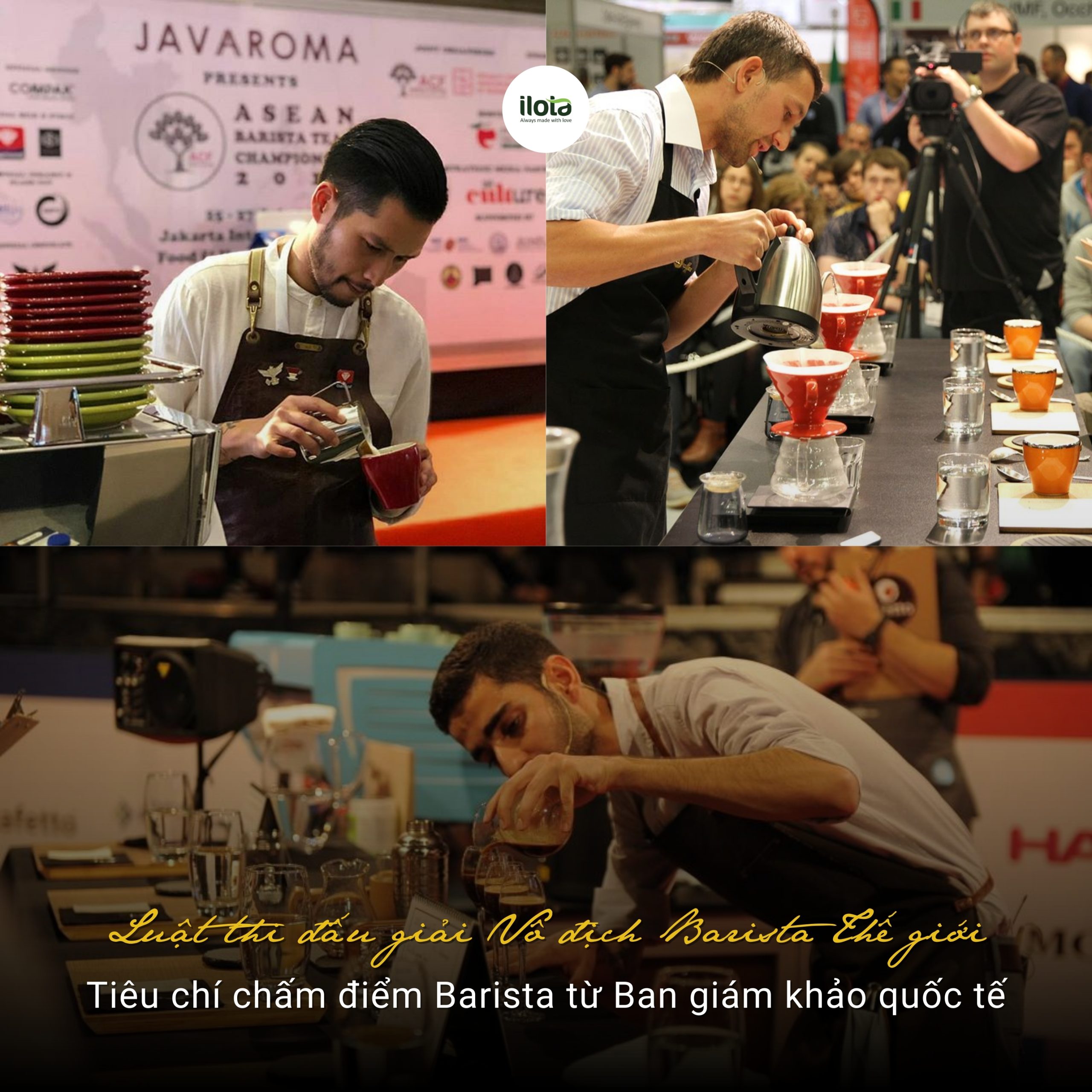 giai-ma-luat-thi-dau-giai-vo-dich-barista-the-gioi