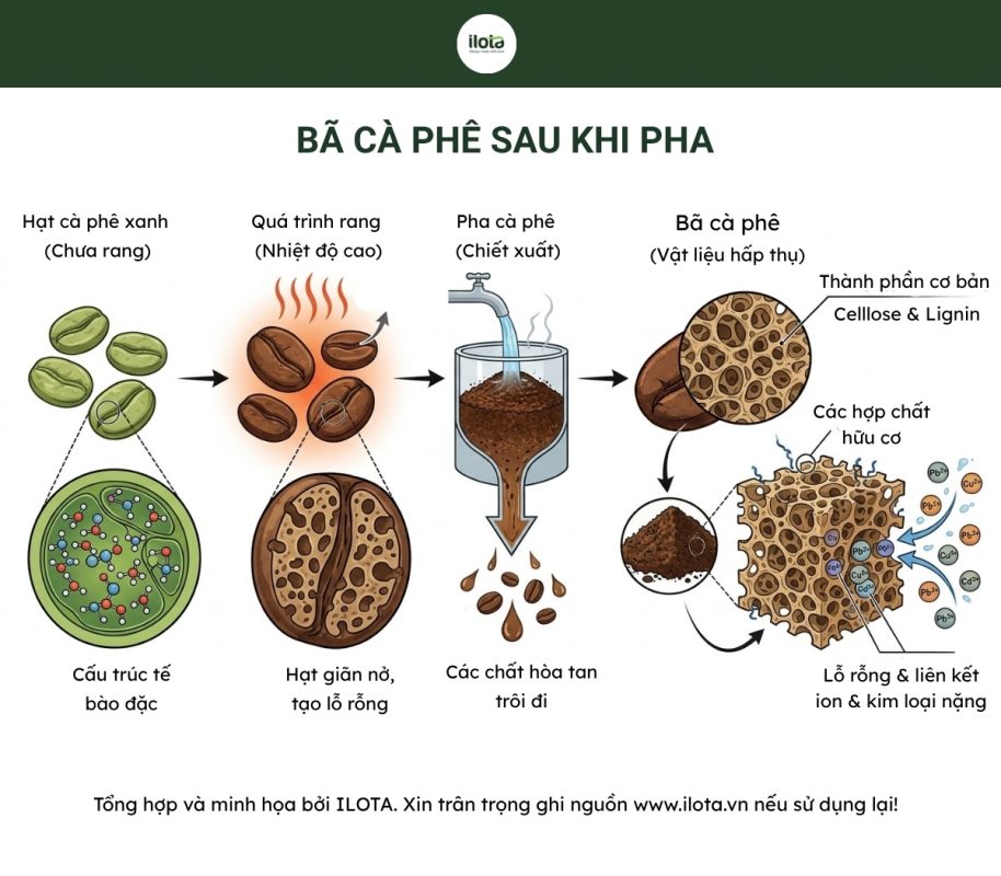 ba-ca-phe-hut-kim-loai-nang