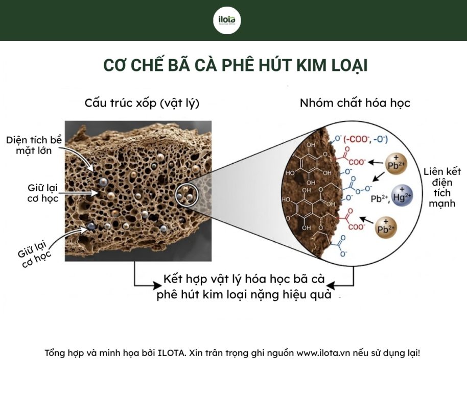 ba-ca-phe-hut-kim-loai-nang