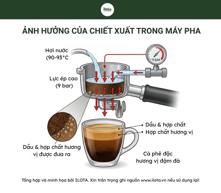 so-sanh-ca-phe-phin-va-ca-phe-may