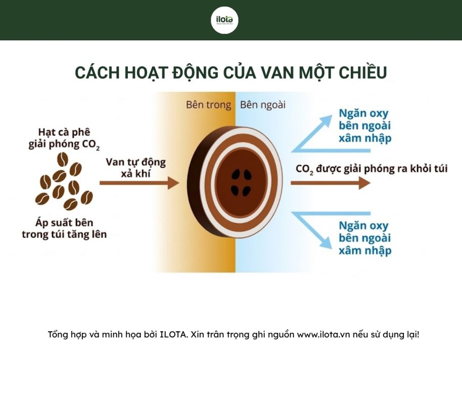 cong-dung-cua-van-mot-chieu