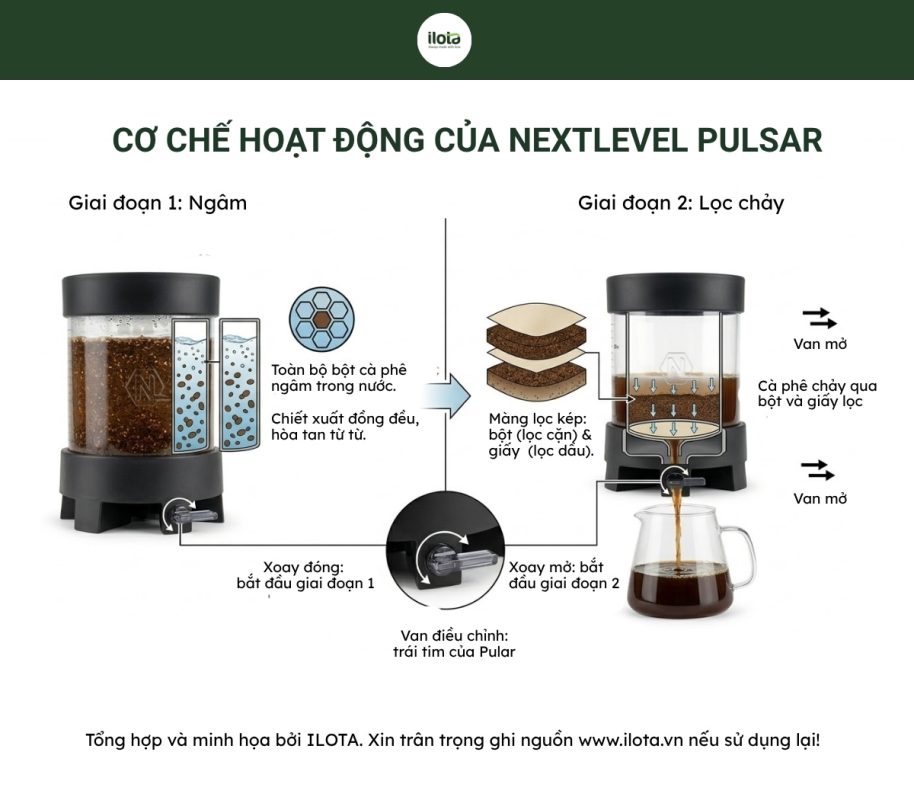 NextLevel-Pulsar-la-gi