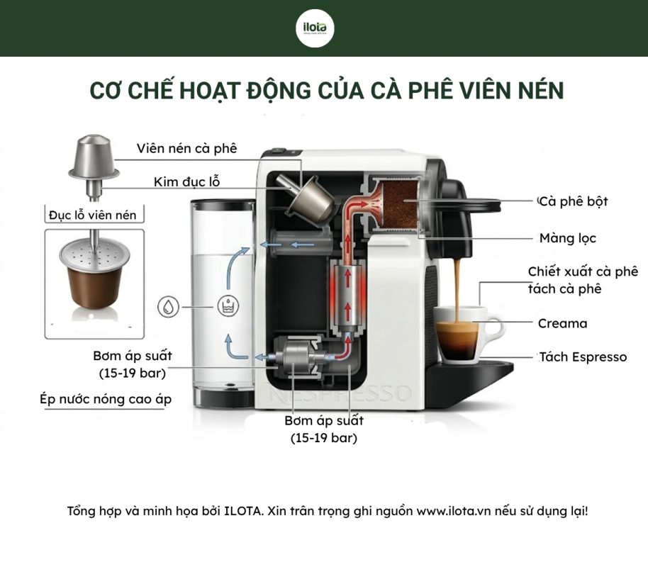 ca-phe-vien-nen-la-gi