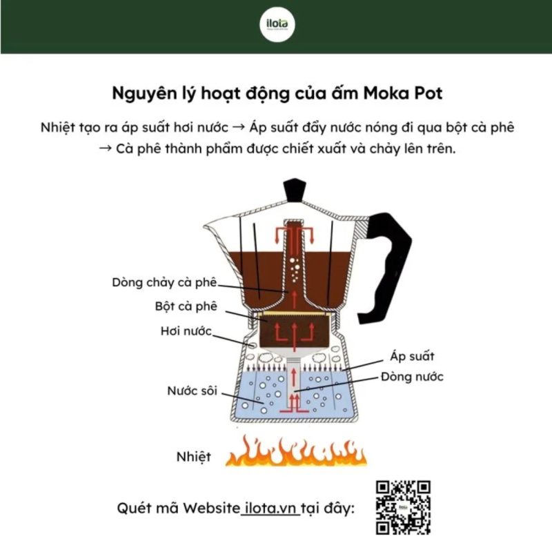 lich-su-am-moka-pot-ra-doi-tu-y-tuong-chiec-may-giat