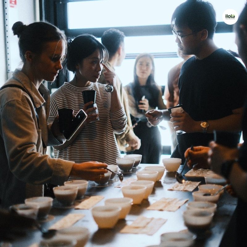 thong-so-cupping-sca