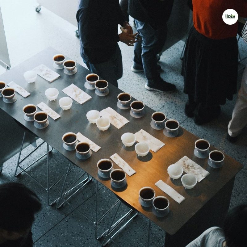 thong-so-cupping-sca
