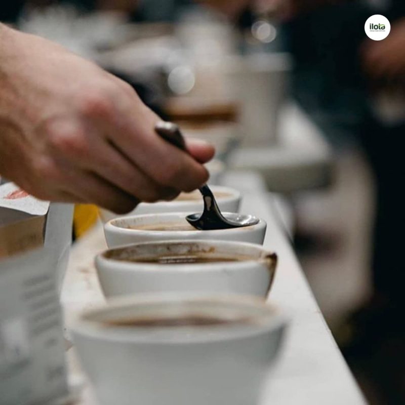 thong-so-cupping-sca
