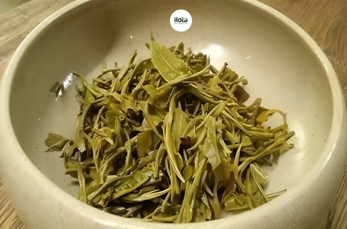 loi-ich-cua-ba-tra