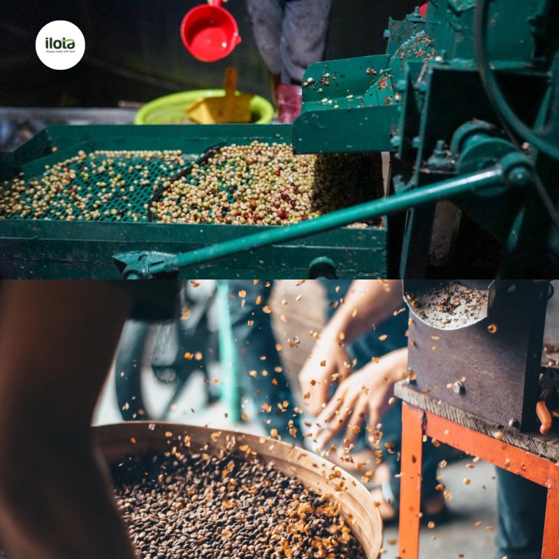 ca-phe-microlot-moi-hat-ca-phe-la-ban-tuyen-ngon