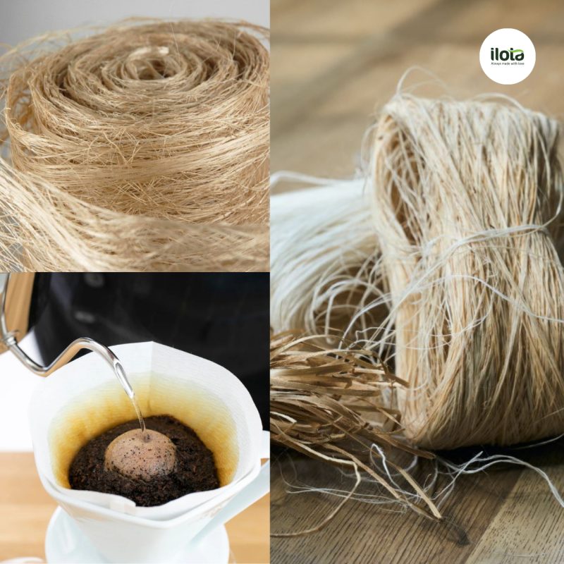 so-sanh-giay-loc-abaca-va-giay-bot-go