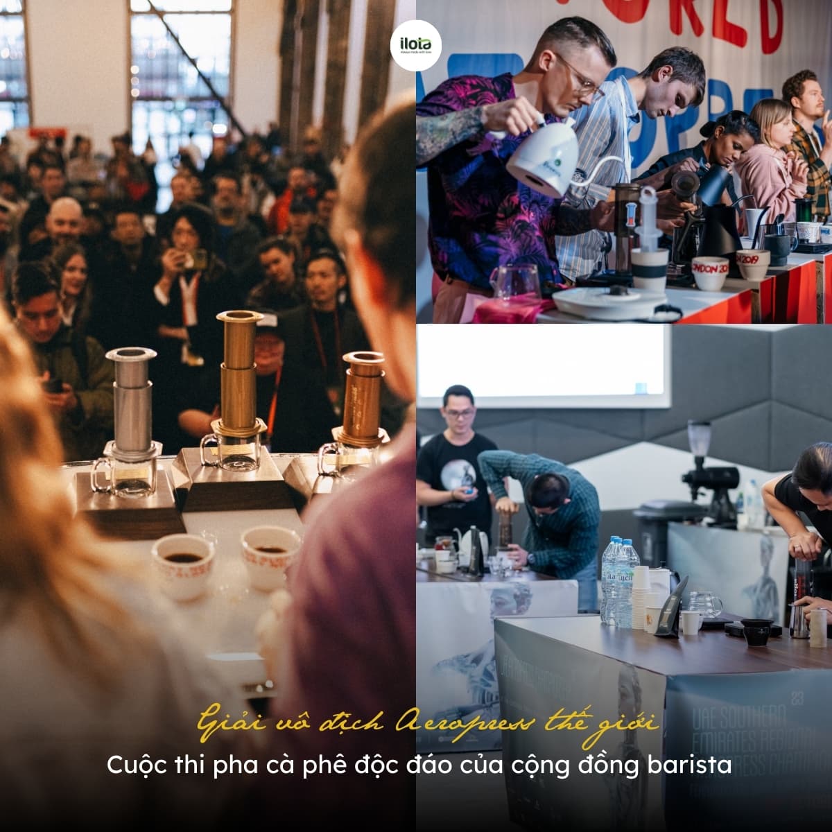 giai-vo-dich-aeropress-the-gioi