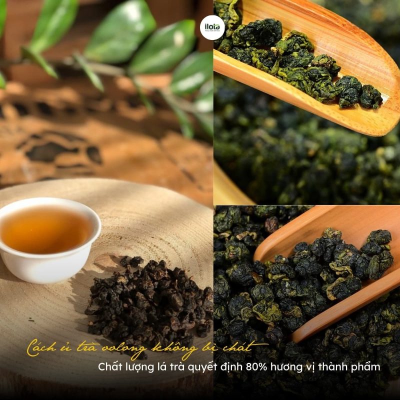 cach-u-tra-oolong-khong-bi-chat