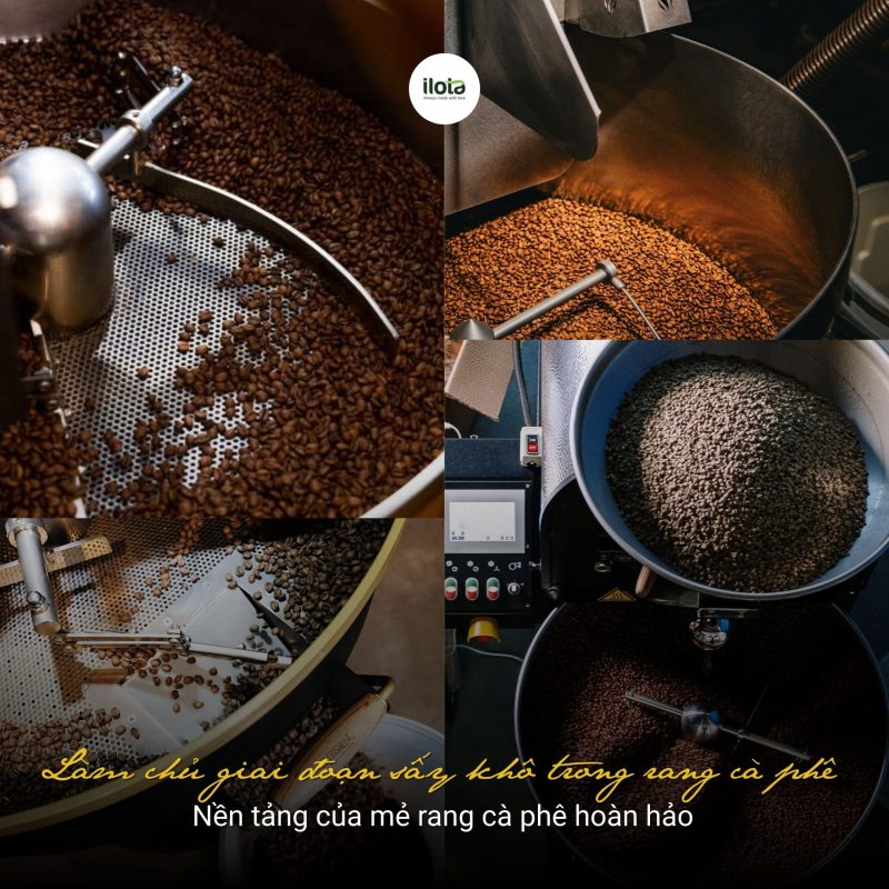 lam-chu-giai-doan-say-kho-trong-rang-ca-phe
