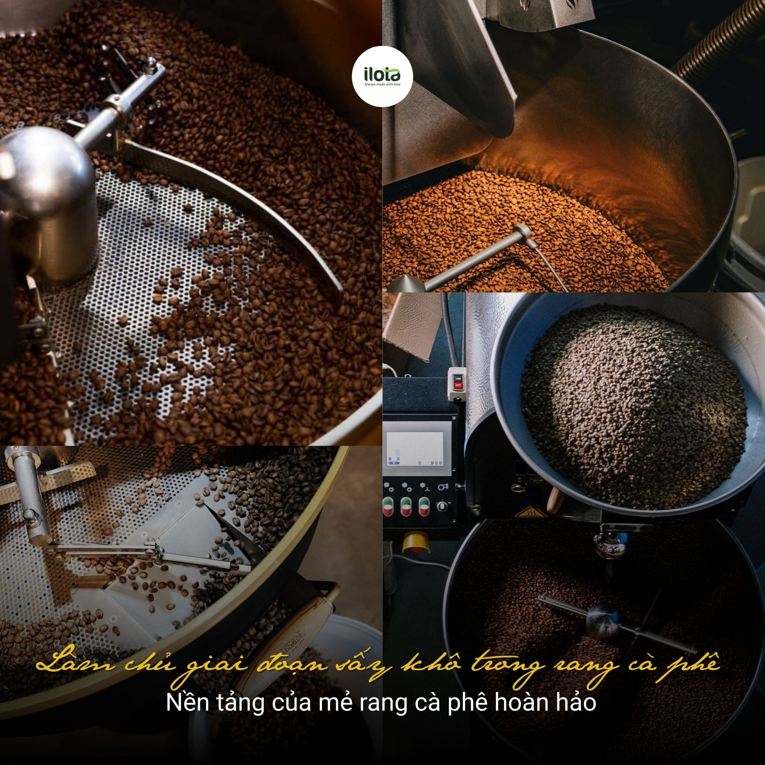 lam-chu-giai-doan-say-kho-trong-rang-ca-phe