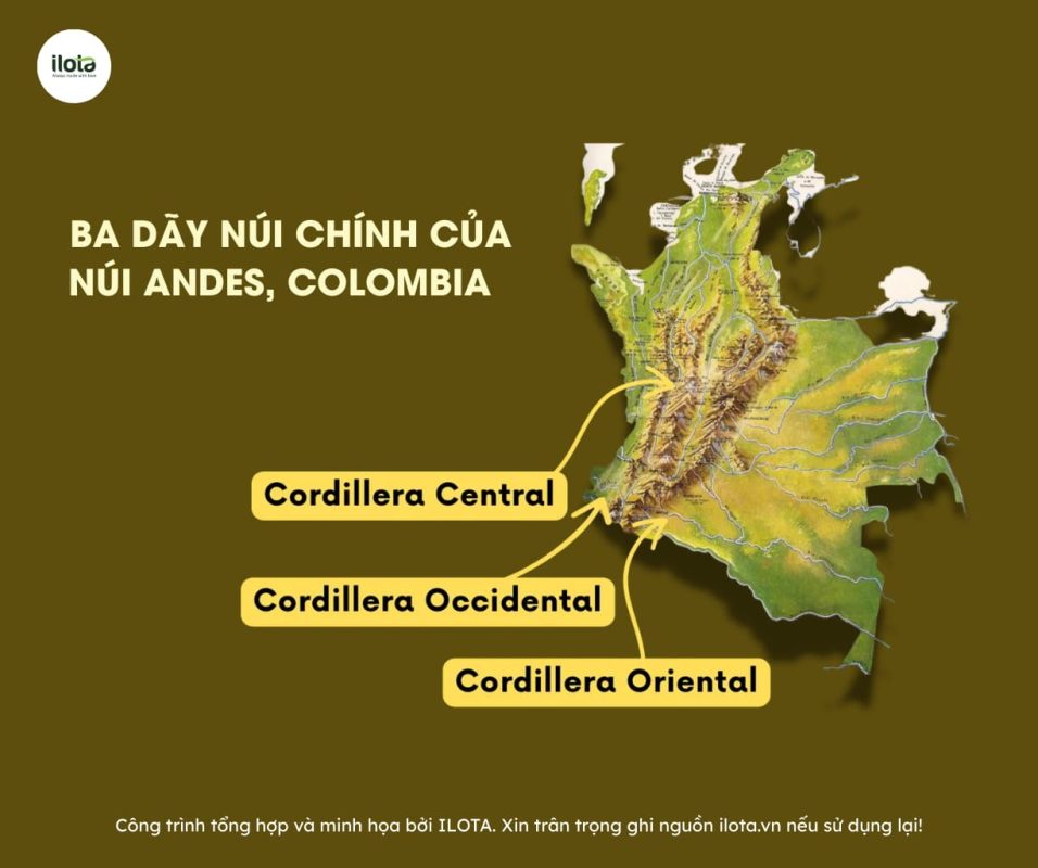 ca-phe-colombia-ky-thuat-len-men-dinh-cao-the-gioi