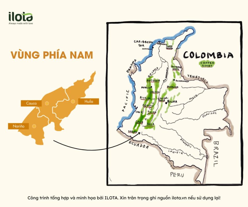 ca-phe-colombia-ky-thuat-len-men-dinh-cao-the-gioi