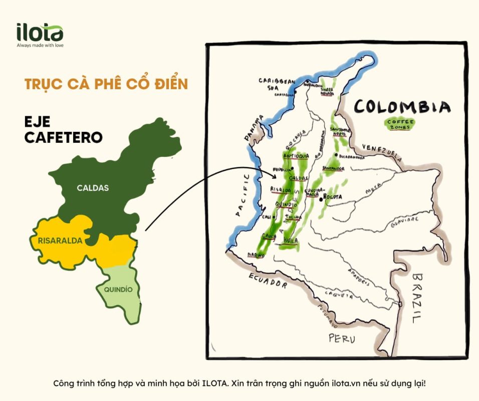 ca-phe-colombia-ky-thuat-len-men-dinh-cao-the-gioi