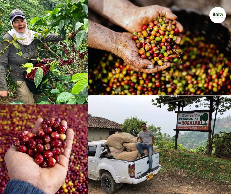 ca-phe-colombia-ky-thuat-len-men-dinh-cao-the-gioi