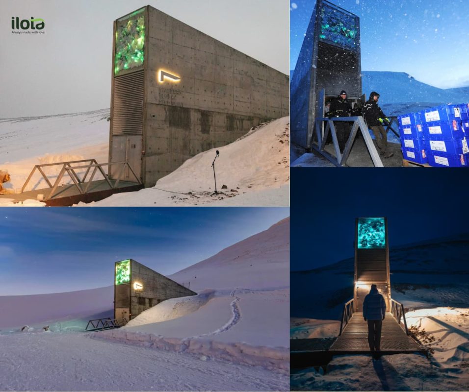 tai-sao-ham-giong-tan-the-svalbard-khong-chua-ca-phe