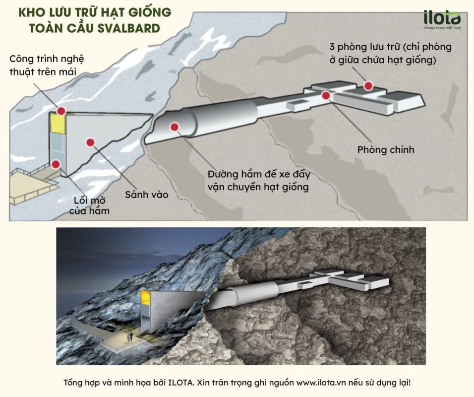 tai-sao-ham-giong-tan-the-svalbard-khong-chua-ca-phe