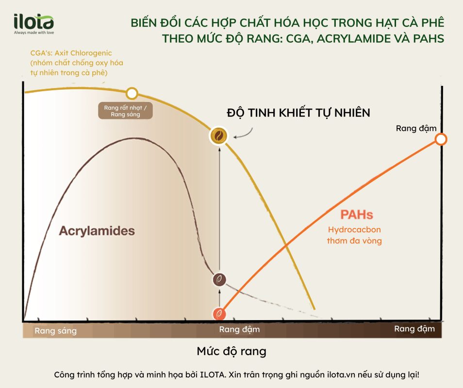 acrylamide-trong-ca-phe-ca-phe-rang-dam-lai-an-toan
