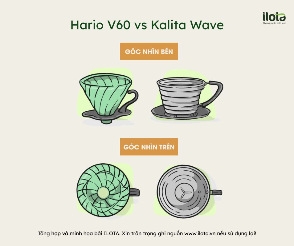 so-sanh-pheu-day-non-va-day-phang-v60-vs-kalita-wave