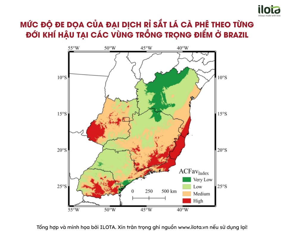 dai-dich-ri-sat-la-ca-phe-brazil-thanh-de-che-ca-phe