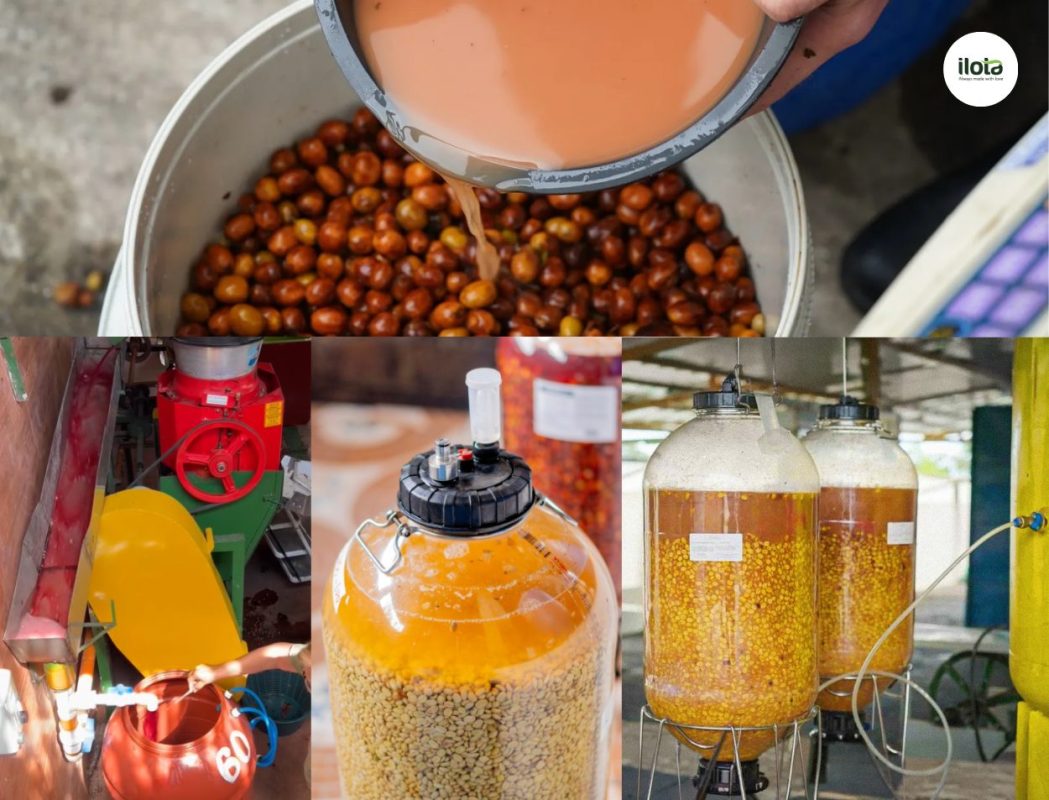 len-men-mosto-mosto-fermentation-cong-nghe-len-men