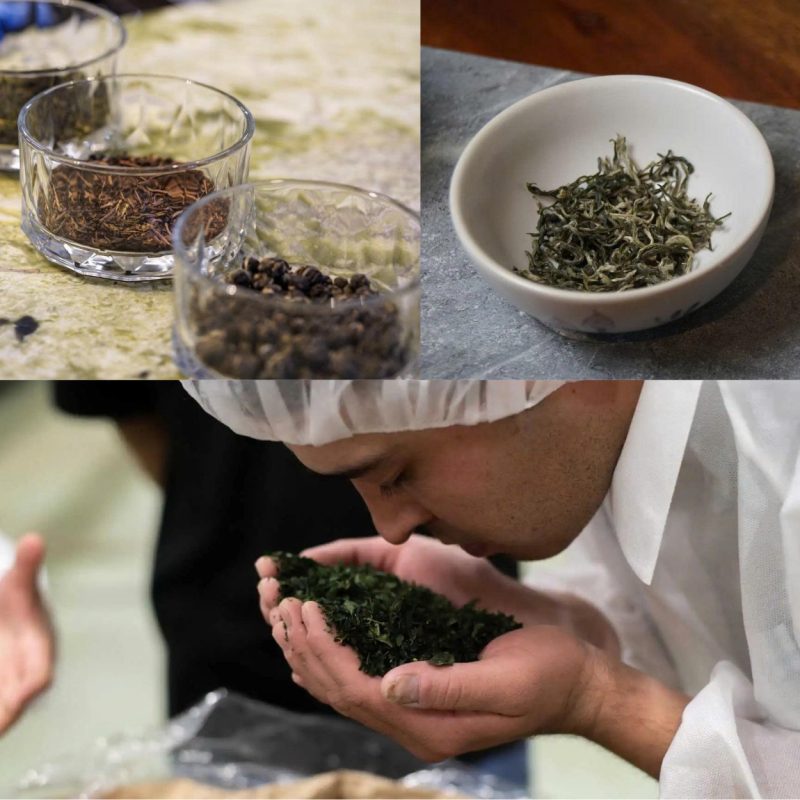 single-origin-tea-tra-don-vung-trong-la-gi