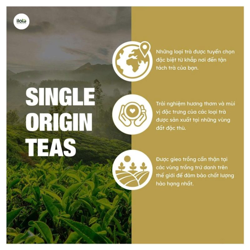 single-origin-tea-tra-don-vung-trong-la-gi