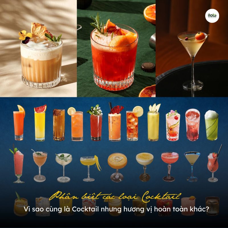 phan-biet-cac-loai-cocktail