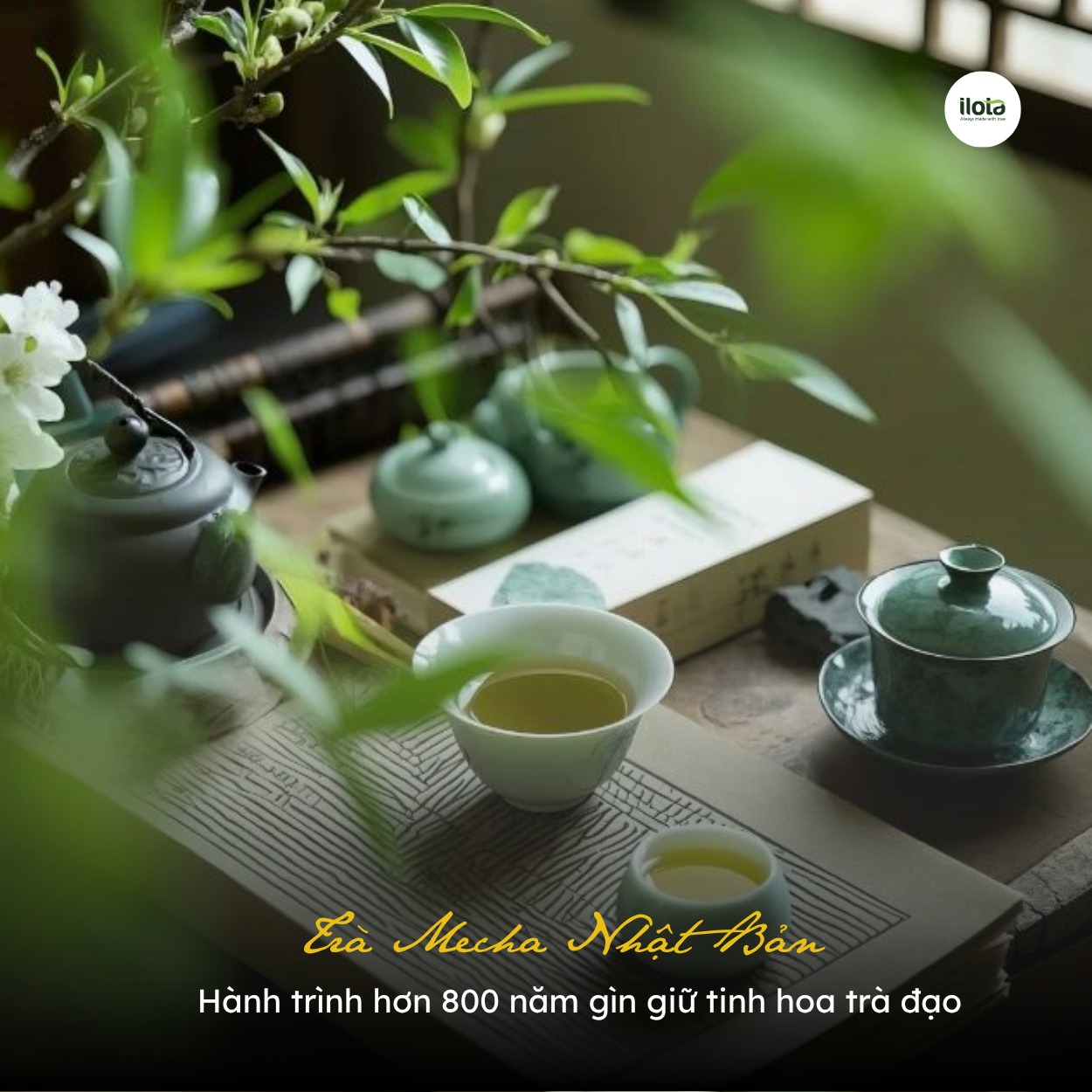 tra-mecha-nhat-ban-hanh-trinh-giu-tinh-hoa-tra-dao